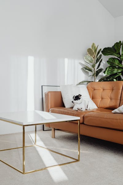 Pet-Friendly Home